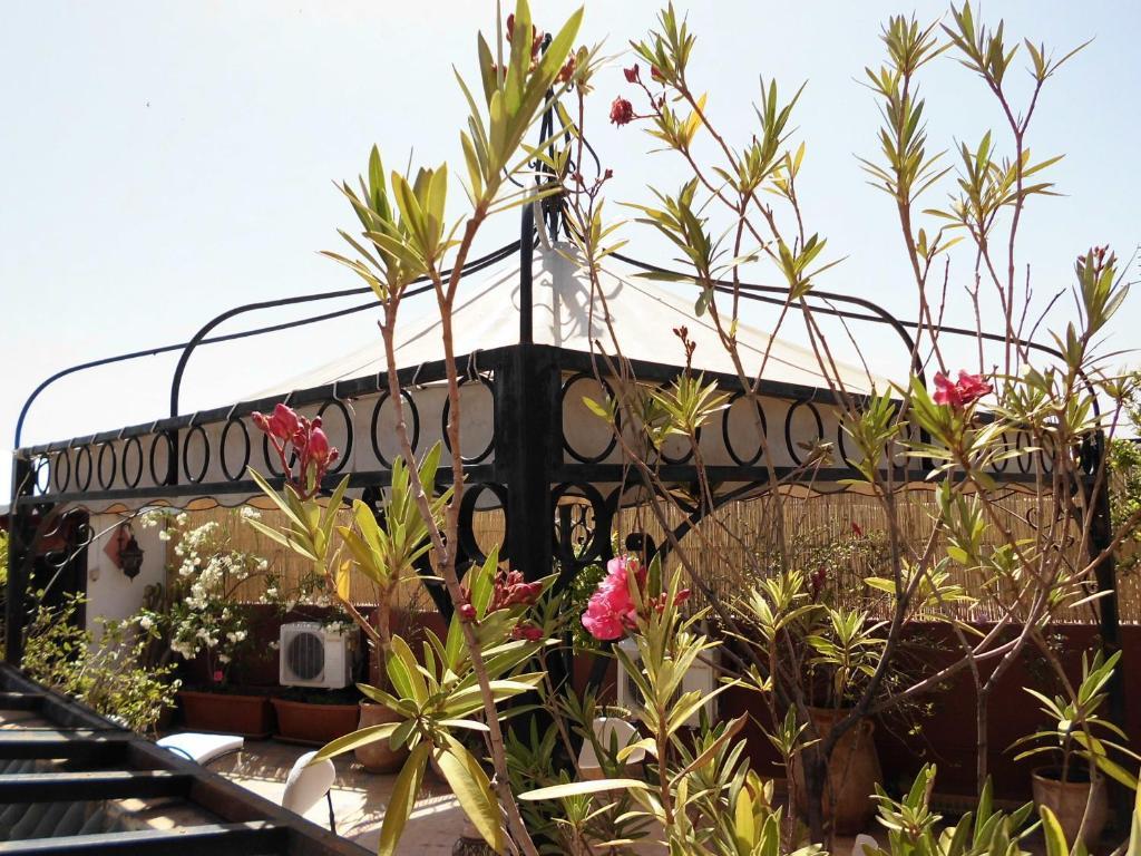 Riad Bibtia Marrakesh Eksteriør bilde