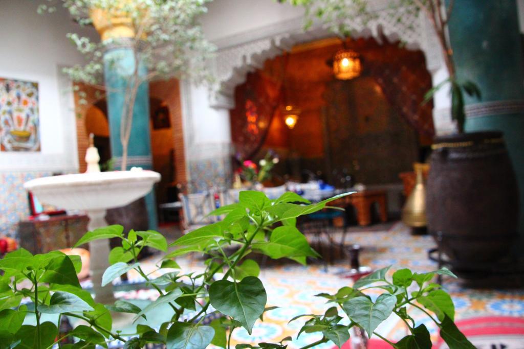 Riad Bibtia Marrakesh Eksteriør bilde